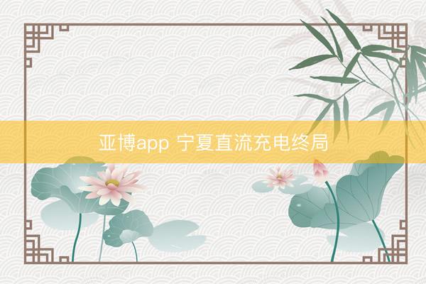 亚博app 宁夏直流充电终局