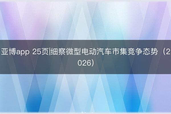 亚博app 25页|细察微型电动汽车市集竞争态势(2026)
