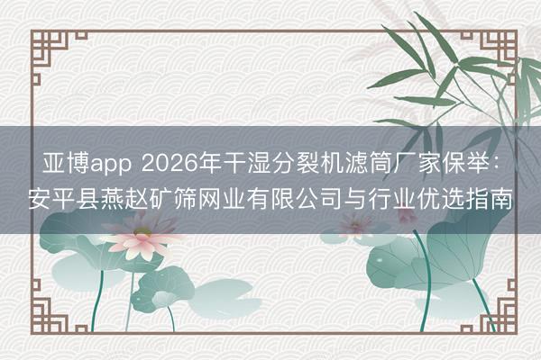亚博app 2026年干湿分裂机滤筒厂家保举：安平县燕赵矿筛网业有限公司与行业优选指南