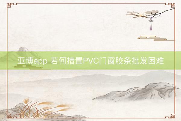 亚博app 若何措置PVC门窗胶条批发困难