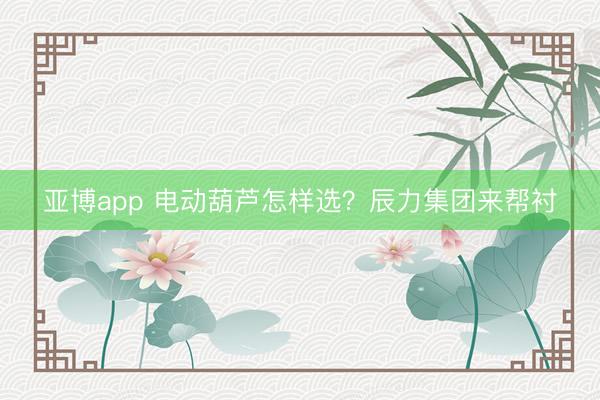 亚博app 电动葫芦怎样选？辰力集团来帮衬