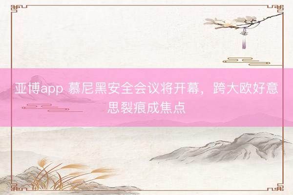 亚博app 慕尼黑安全会议将开幕，跨大欧好意思裂痕成焦点