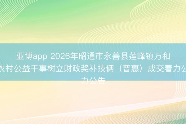 亚博app 2026年昭通市永善县莲峰镇万和村农村公益干事树立财政奖补技俩（普惠）成交着力公告