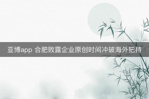 亚博app 合肥败露企业原创时间冲破海外把持