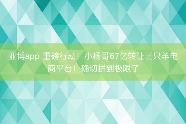 亚博app 重磅行动！小杨哥67亿转让三只羊电商平台！确切拼到极限了