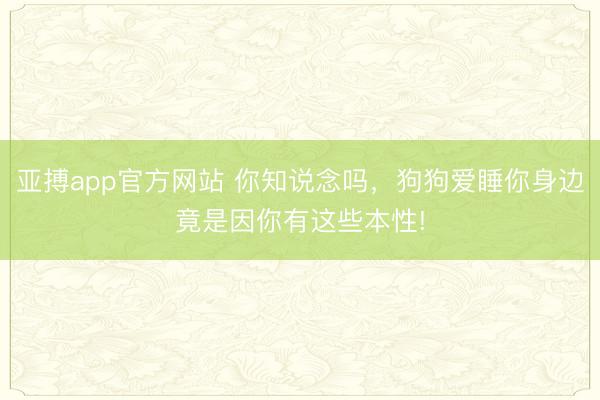 亚搏app官方网站 你知说念吗，狗狗爱睡你身边竟是因你有这些本性!