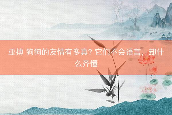 亚搏 狗狗的友情有多真? 它们不会语言，却什么齐懂