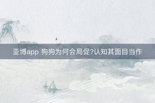 亚博app 狗狗为何会局促?认知其面目当作