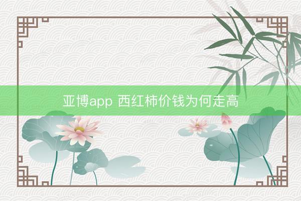 亚博app 西红柿价钱为何走高