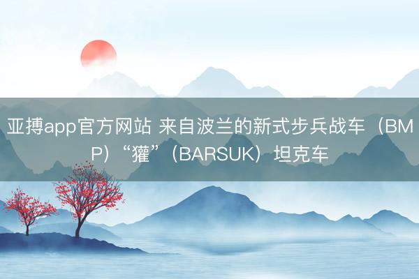 亚搏app官方网站 来自波兰的新式步兵战车(BMP)“獾”(BARSUK)坦克车