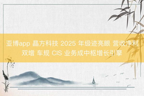 亚博app 晶方科技 2025 年级迹亮眼 营收净利双增 车规 CIS 业务成中枢增长引擎