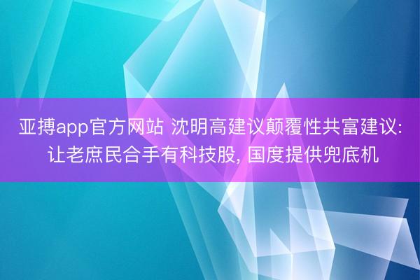 亚搏app官方网站 沈明高建议颠覆性共富建议: 让老庶民合手有科技股， 国度提供兜底机