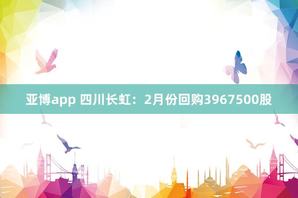 亚博app 四川长虹：2月份回购3967500股