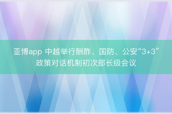 亚博app 中越举行酬酢、国防、公安“3+3”政策对话机制初次部长级会议
