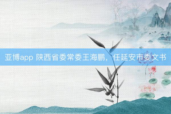 亚博app 陕西省委常委王海鹏，任延安市委文书