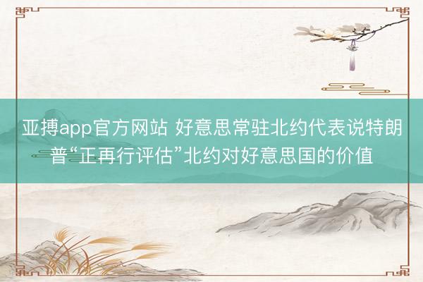 亚搏app官方网站 好意思常驻北约代表说特朗普“正再行评估”北约对好意思国的价值