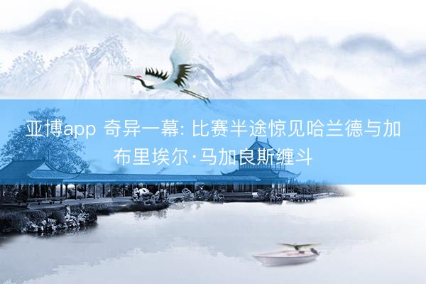 亚博app 奇异一幕: 比赛半途惊见哈兰德与加布里埃尔·马加良斯缠斗