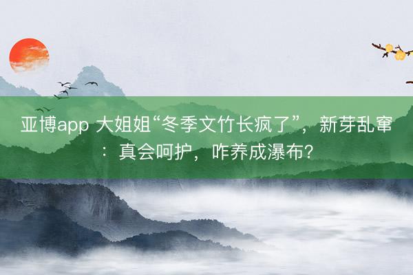 亚博app 大姐姐“冬季文竹长疯了”，新芽乱窜：真会呵护，咋养成瀑布？