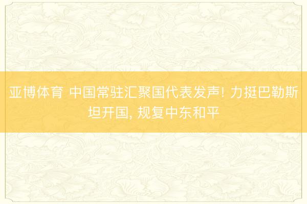 亚博体育 中国常驻汇聚国代表发声! 力挺巴勒斯坦开国， 规复中东和平