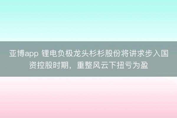 亚博app 锂电负极龙头杉杉股份将讲求步入国资控股时期，重整风云下扭亏为盈